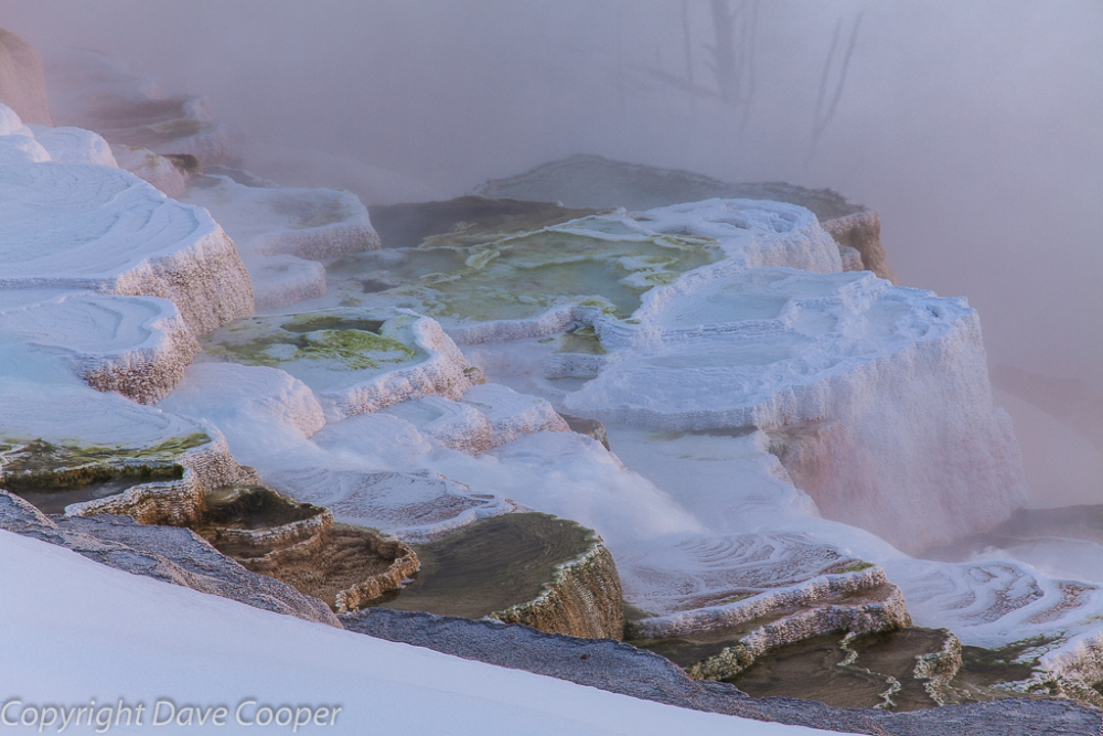 Winter Sunrise on the Travertine Terraces, Mammoth Hot Springs, Yellowstone National Park