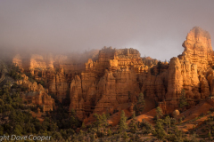 Moody morning light in Red Canyon, Utah