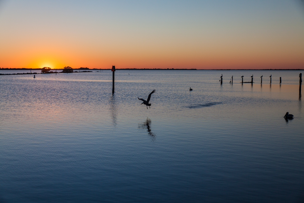 Pelican Sunset, Pine Island, Florida